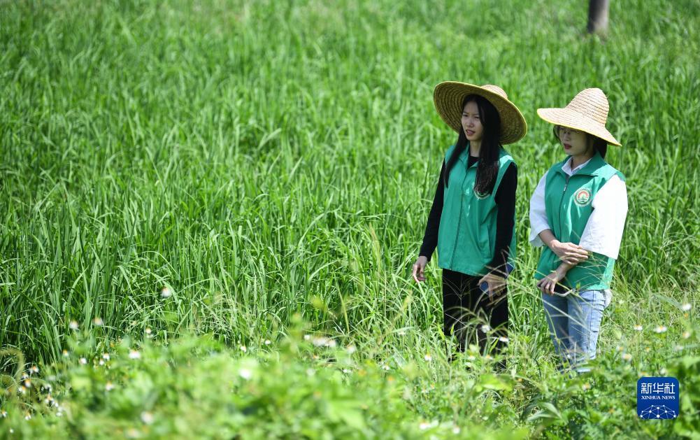 六台至尊app官网苹果